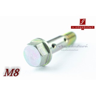 น็อตน้ำมัน Oil Bolt ขนาด M8x1.25x30 แบบ 2 รู