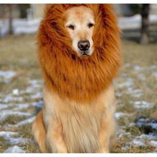 high quality lion mane wig product for dogs