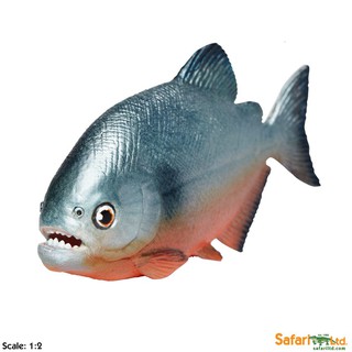 Safari Ltd. : SFR261329# โมเดลปลาปิรันย่า Piranha