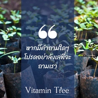 ยาป้ายทุเรียน น้ำใสไม่มีสี ยาเร่งสุก เร่งสี ไม่เป็นอันตราย หรือกระตุ้นการออกหน่อสัปะรด ซันโซ่ (อีทีฟอน) 100ซีซี