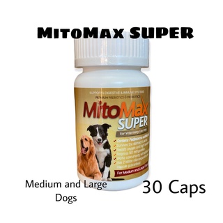 MitoMax SUPER for Medium and Large dog  30  เม็ด