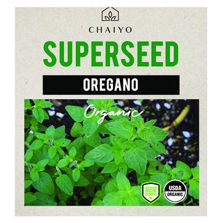 เมล็ดพันธุ์ออริกาโน ชัยโย 380 เมล็ด OREGANO (ORGANIC) 380 SEEDS