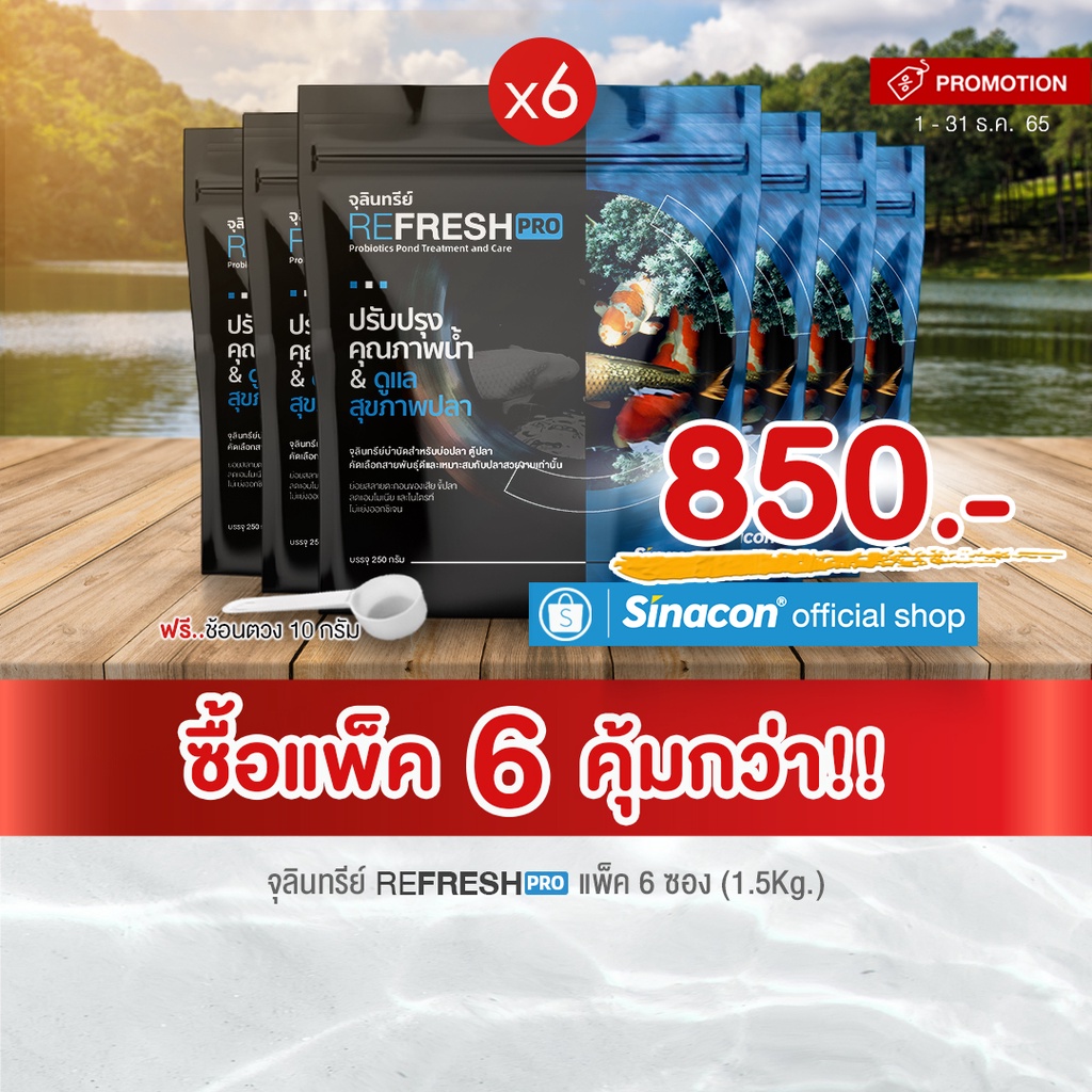 [แพ็ค 6 ซอง] Refreshpro 250 กรัม รวม 1.5 กิโลกรัม ล็อตใหม่ผงสีขาว