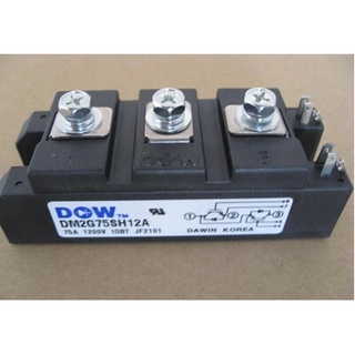 โมดูลไทริสเตอร์ IGBT SZ MPMB100B120RH DM2G100SH12AL MPMD100B120RH MPMD100B120RH DM2G150SH12A DW