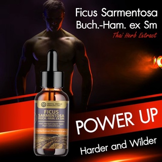 Fi cus foveolata Wall Herbal Extract in Liquid Type 25 ml. (High Concentration) ORIENTAL HERITAGE HERBALISTS