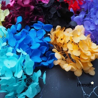 【พร้อมส่ง】🌻ดอกไฮเดรนเยียแห้ง ไฮเดรนเยียกลีบเล็ก🌻 Preserve hydrangeas ดอกไม้ทำเรซิ่น