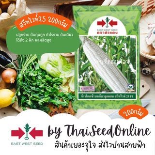 EWCOM เมล็ดพันธุ์ 200 กรัม ข้าวโพดลูกผสม ข้าวโพดข้าวเหนียวลูกผสมสวีทไวท์25 ตราศรแดง Corn