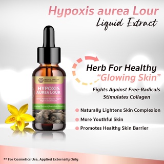 Hypoxis Aurea Lour Herbal Extract in Liquid Type  25 ml. (High Concentration)