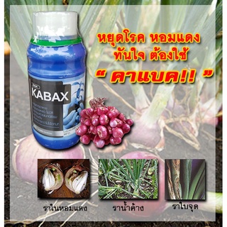 Kabax ยาฆ่าเชื้อราหอมแดง หอมแดงใบจุด ราน้ำค้าง ขนาด 500 ซีซี