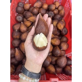 #สละอินโดนิเซีย นำเข้าแท้ 100% อร่อยเกินต้าน สั่งเลย‼️
