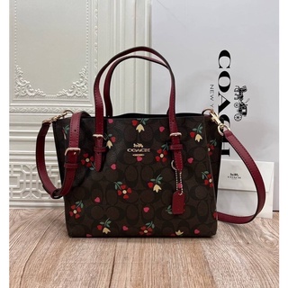 COACH C4250 MOLLIE TOTE 25 IN SIGNATURE CANVAS