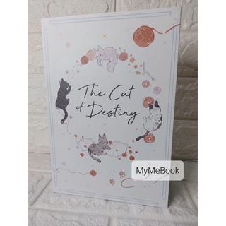 [Boxเปล่า] The Cat of Destiny (มีตำหนิ)