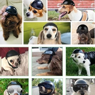 🐱🐶หมวกกันน็อคสุนัข🧢 🥽 แมว หมา สัตว์เลี้ยง ABS หมวกกันน็อค อุปกรณ์หมวก