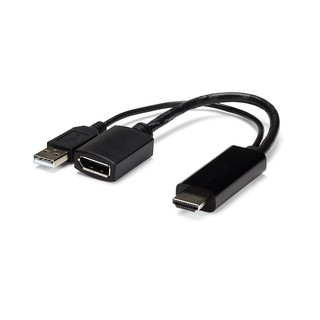 HDMI to DisplayPort Adapter - 4K 30Hz.