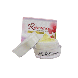 รีนิว ไวท์ไนท์ครีม (Renew Nightwhite cream)