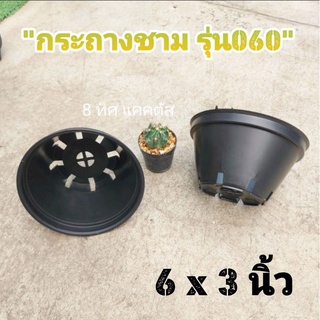 กลม 060 ทรงถ้วย // กด 100 ใบ 750 บาท -- กระถาง 6 นิ้ว -- สีดำ กระถางพลาสติก กระถางแคคตัส กระบองเพชร