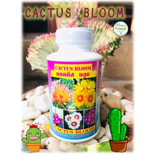 ปุ๋ยแคคตัส 🌵แคคตัส บลูม 🌵Cactus Bloom เร่งดอก ออกดอกง่าย ก้านดอกสมบูรณ์ แข็งแรง🌸 ปุ๋ยกระบองเพชร  ขนาด 250 ซีซี