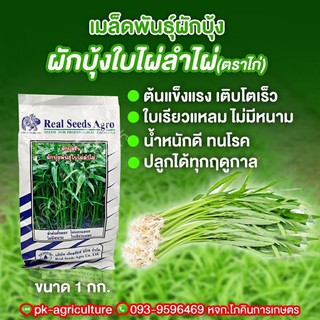 เมล็ดพันธุ์ผักบุ้งจีน ใบไผ่ลำไผ่ ขนาด 1 กก.