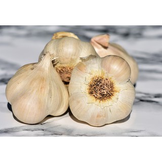 กระเทียมหัว กระเทียมจีน สวย ๆ พร้อมส่ง (Garlic)