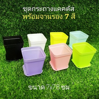 ชุดกระถางแคคตัสพร้อมจานรอง 7 สี (ชุด7 ชิ้น)