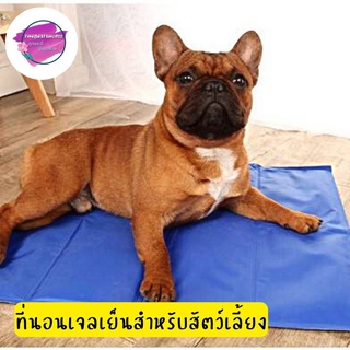 🎈New🎈 Pet Cool Mat ที่นอนเจลเย็นสำหรับสัตว์เลี้ยง แผ่นเจลเย็น แผ่นระบายความร้อน