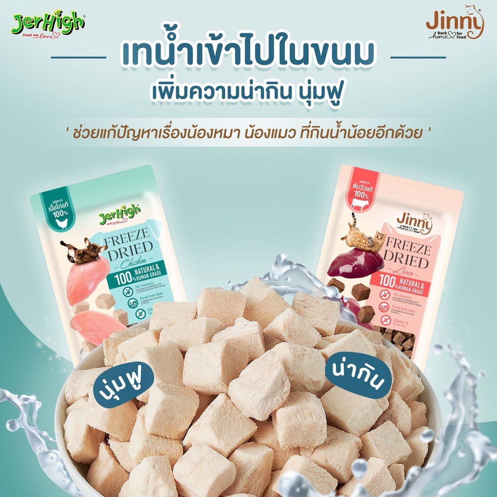 Jinny ขนมแมว Freeze Dried จินนี่ ชิ้นเนื้อแท้ 100% ขนาด 40 กรัม