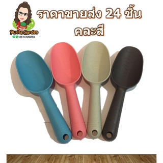 ช้อนตักดิน หิน ไซส์ใหญ่ ราคาขายส่ง 1 แพ็ค 24 ชิ้นคละสี เนื้อหนา อุปกรณ์ทำสวน เพาะปลูก แคคตัส ไม้อวบน้ำ