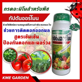 🍄อาหารเสริม🍄 กัปตันออร์โมน ขนาด 1 ลิตร กรดอะมิโน กรดอะมิโนสำหรับพืช สูตรเข้มเข้น ป้องกันดอกและผลร่วง ช่วยการติดดอกออกผล