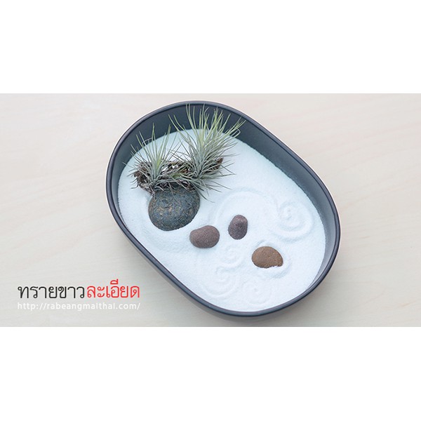 ใหม่ ล้างแล้ว !!! ทรายขาว สีขาวสะอาดตา สำหรับงานจัดสวนแก้ว สวนหิน (อ่านคำอธิบายด้วยนะครับ)