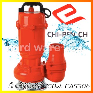 ปั้มแช่ไดโว่ 3" 750w CHIPEN WD750A CAS306 submersible pump