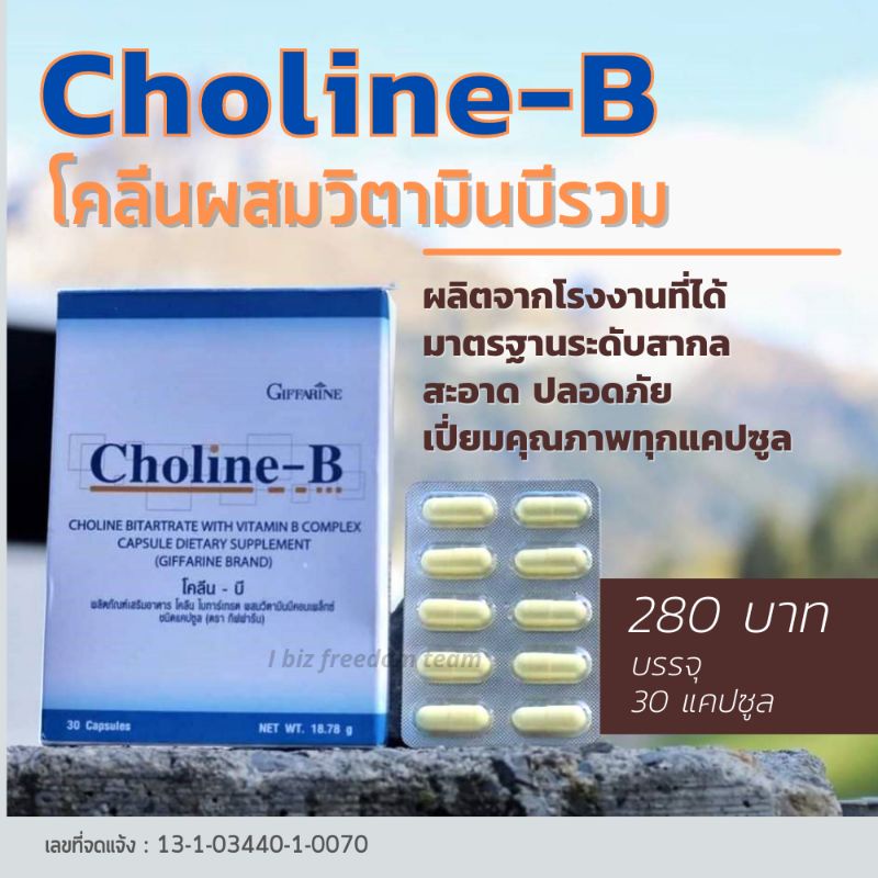 Giffarine Choline-B.