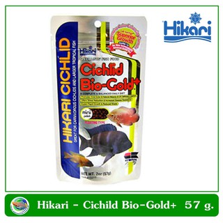 Hikari Cichlid Bio-Gold+ อาหารปลาหมอสี เร่งสี โตเร็ว ไม่มีไขมัน 57 g. ชนิดลอยน้ำ