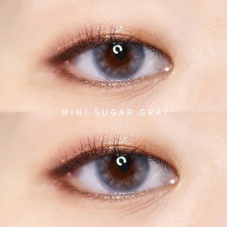 คอนแทคเลนส์ คิตตี้ คาวาอิ Mini Sugar Gray ค่าสายตา