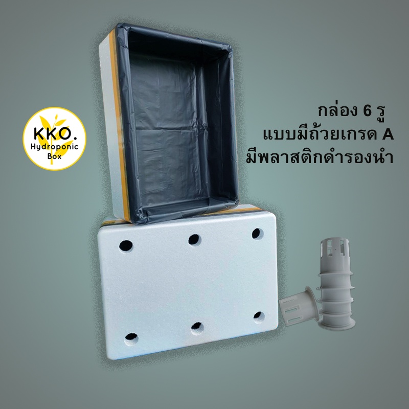 **สั่งได้ไม่เกิน 4 ใบ ** กล่องโฟมปลูกผักไฮโดรโปนิกส์  38.8*53.8*20.7 กว้าง×ยาว×สูง ซม. 6 รู ผักสลัดแ