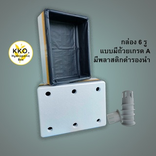 **สั่งได้ไม่เกิน 10 ใบ ** กล่องโฟมปลูกผักไฮโดรโปนิกส์  38.8*53.8*20.7 กว้าง×ยาว×สูง ซม. 6 รู ผักสลัดและผักไทย