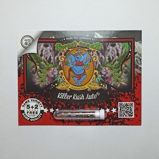 Sweet seeds Killer Kush Auto 7 cannabis seeds