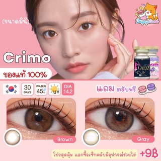 คอนแทคเลนส์ Crimo Brown / Gray (GAEzZ Secret / Sweety Soft) ขนาดมินิ 🌷 ลายคล้าย Primo ขายดีมาก