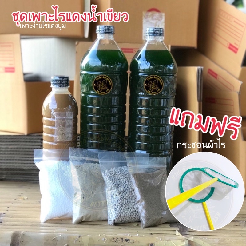 KPK ซื้อครั้งเดียวจบ ชุดเพาะไรแดง ชุดทำน้ำเขียว อาหารที่ดีที่สุดของไรแดง