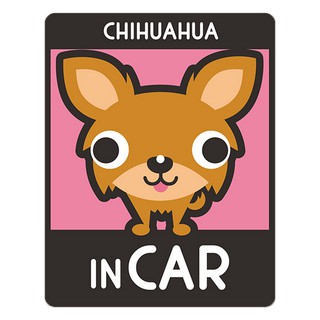 BOA379 สติกเกอร์ติดรถ chihuahua in car สติ๊กเกอร์ติดรถสวยๆ Sticker