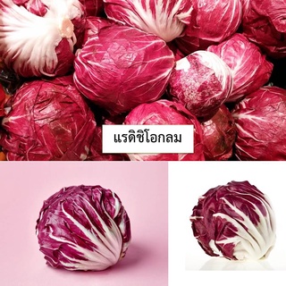 เมล็ดแรดิชิโอทรงกลม 50 เมล็ด (ซื้อ10แถม1 คละได้)