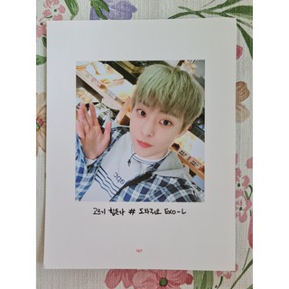 [แท้/แบ่งขาย/4 หน้า 100] หน้าโฟโต้บุ๊ค ซิ่วหมิน Xiumin CBX Selfie Book Photo Book EXO