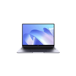 LAPTOP MATEBOOK14 Spruce Green