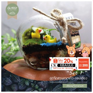 ชุดจัดสวนขวดแก้ว ทรงกลมเอียง ครบเซ็ต Terrarium Set 1. ชุดจัดสวนขวด พร้อมส่ง มี 3 ขนาด S. M. XL