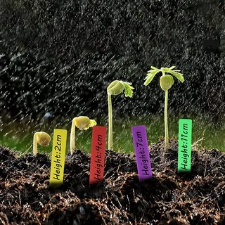 Uone Garden ป้ายชื่อต้นไม้แพ็คละ 10x2cm PVC สำหรับตกแต่งสวน 100 ชิ้น อุปกรณ์ตกแต่งสวน จัดสวน T010A
