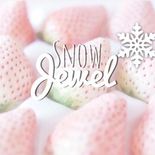 ♡ snow jewel ♡