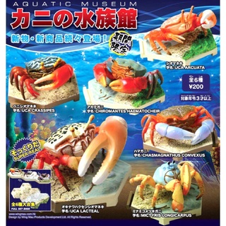 Aquatic Museum Crabs Gashapon กาชาปองสัตว์ ปู