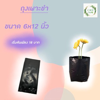 ถุงเพาะชำ ขนาด 6×12 นิ้ว ครึ่งกิโล ได้ 25ใบ/แพ็ค ราคา40บาท