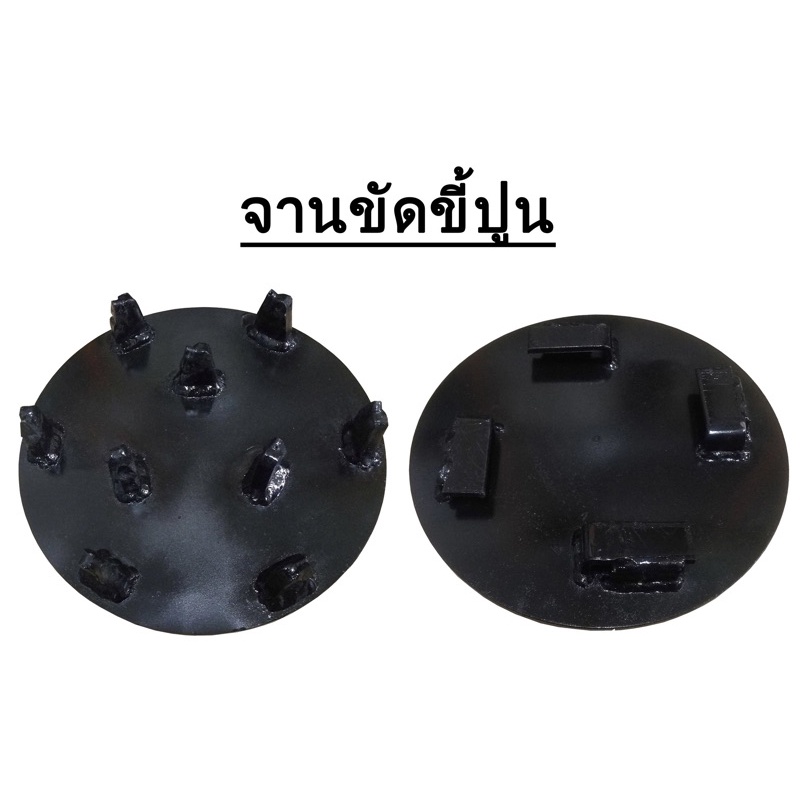 จานขัดขี้ปูน หนามเตย รูปที่ 4