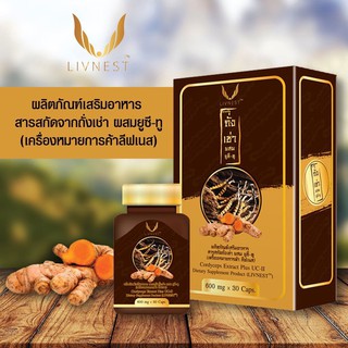 อาหารเสริมถั่งเช่าผสมยูซีทู ขมิ้นชัน คอลลาเจน ไทพ์ ทู Donutt Livnest Cordycept Extract Plus UC-II กล่องละ 30 capsules