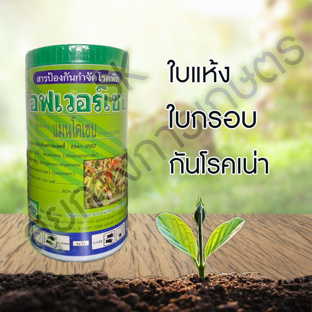 Sk เอฟเวอร์เซบ ตัวยาแมนโคเซบ สารป้องกันกำจัดโรคพืช เชื้อราในพืช ใบกรอบ  ใบแห้ง กันโรคเน่า 1000 กรัม | Shopee Thailand